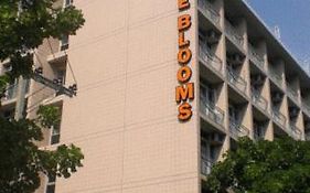 The Blooms Residence